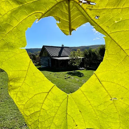 Holiday home Harmonia *